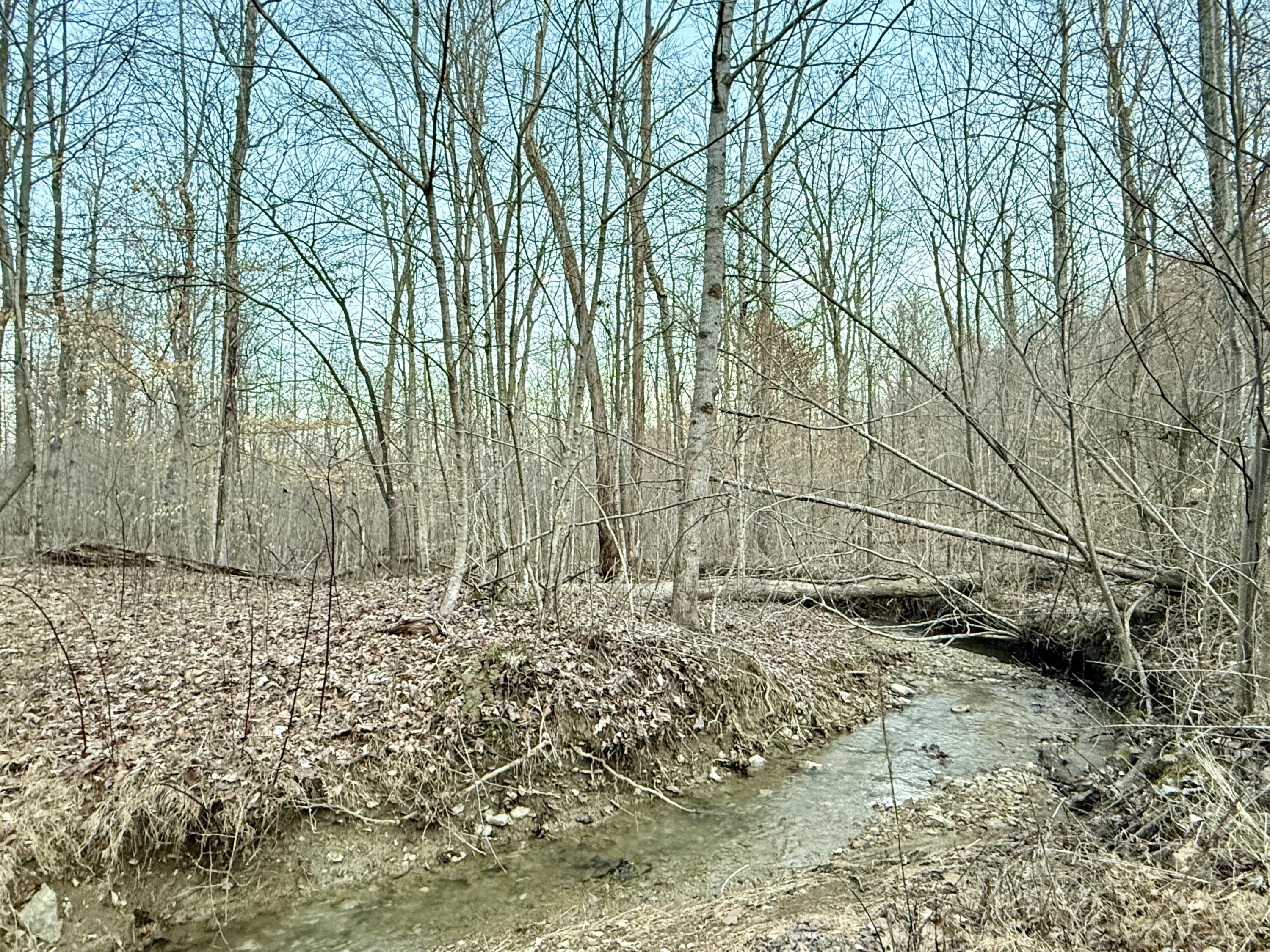 0 Sam Baughman Road Stanford, KY 40484 - Photo 10 of 27 FullSizeRender