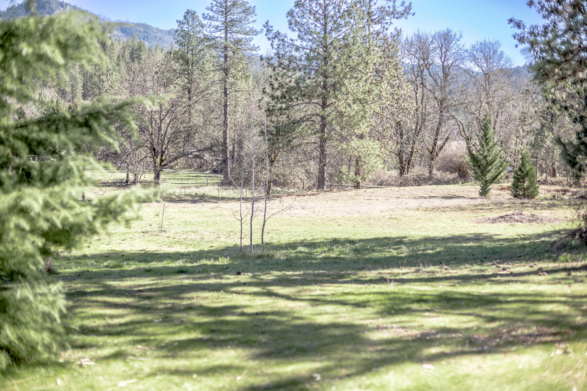 2074 Pine Grove Road Rogue River, OR 97537 - Photo 12 of 34 2H2A6559