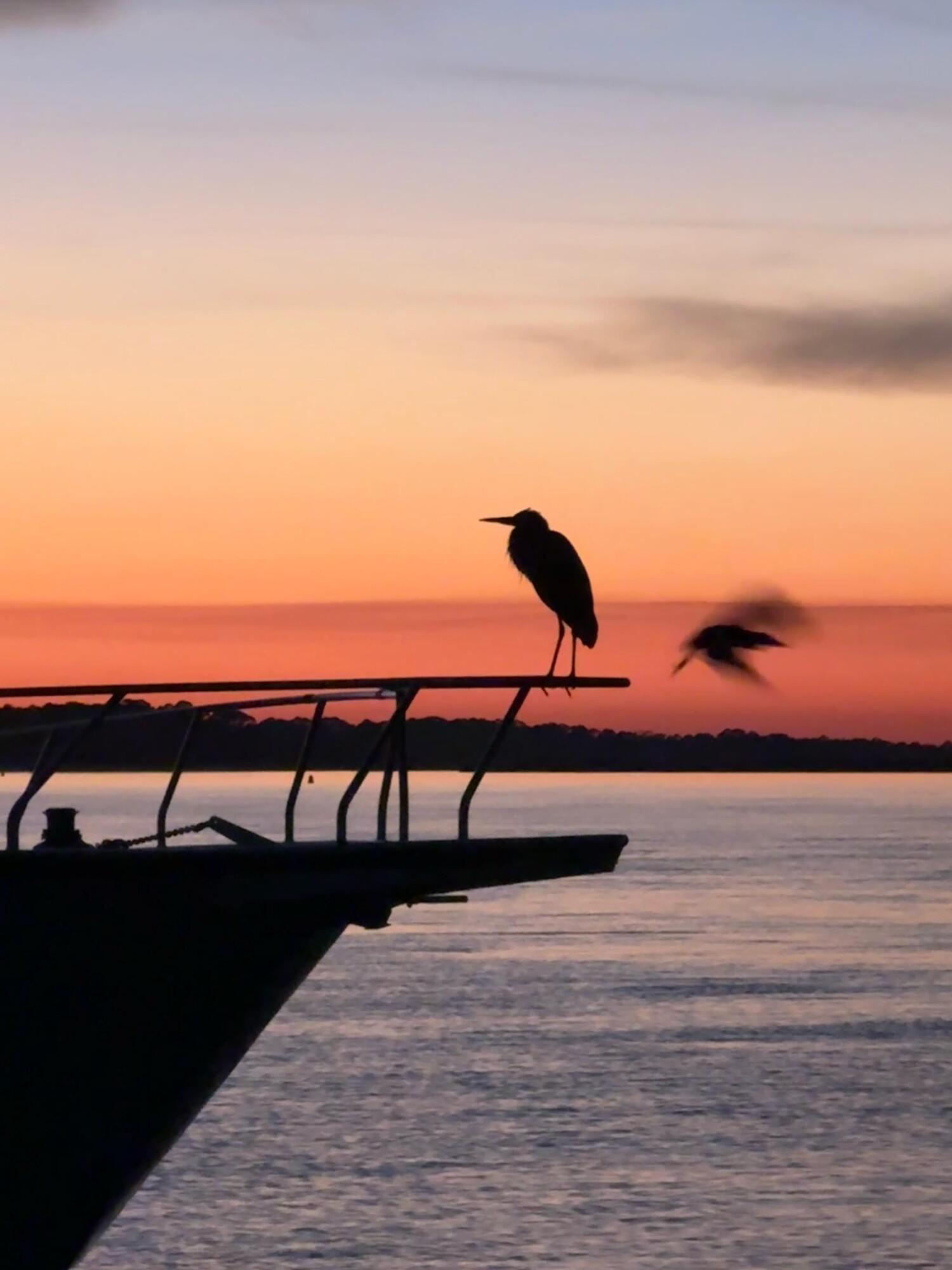 67 West 10th Street, Unit E3 Folly Beach, SC 29439 - Photo 6 of 6 IMG-20251115-WA0004