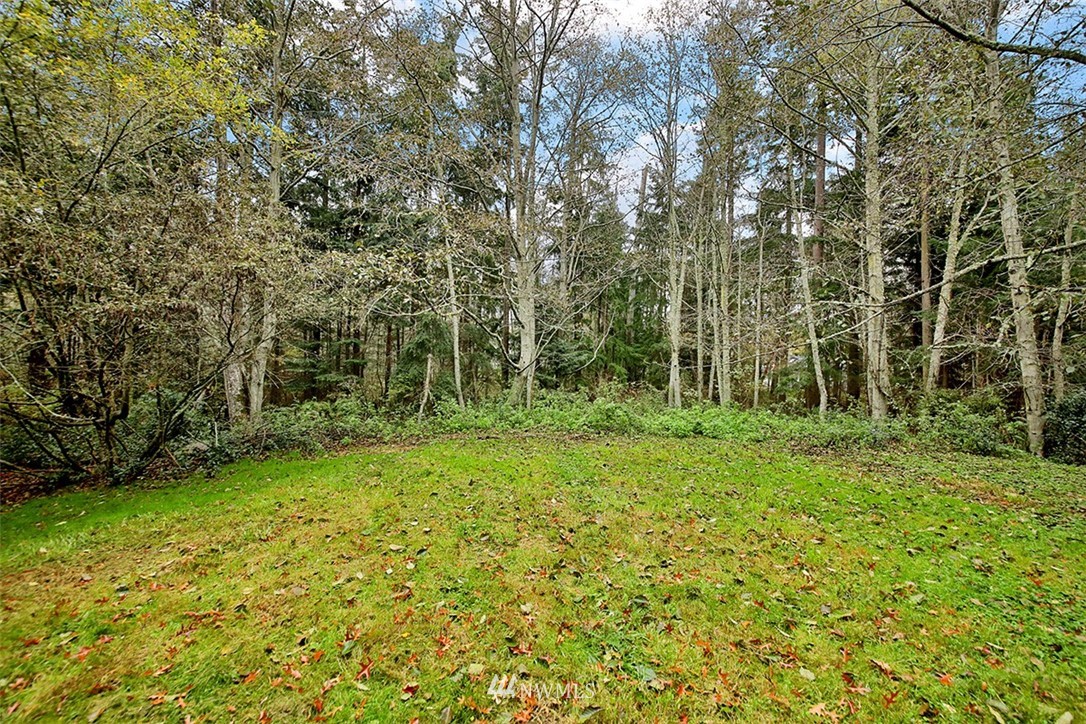3495 East Harbor Road Langley, WA 98260 - Photo 8 of 39