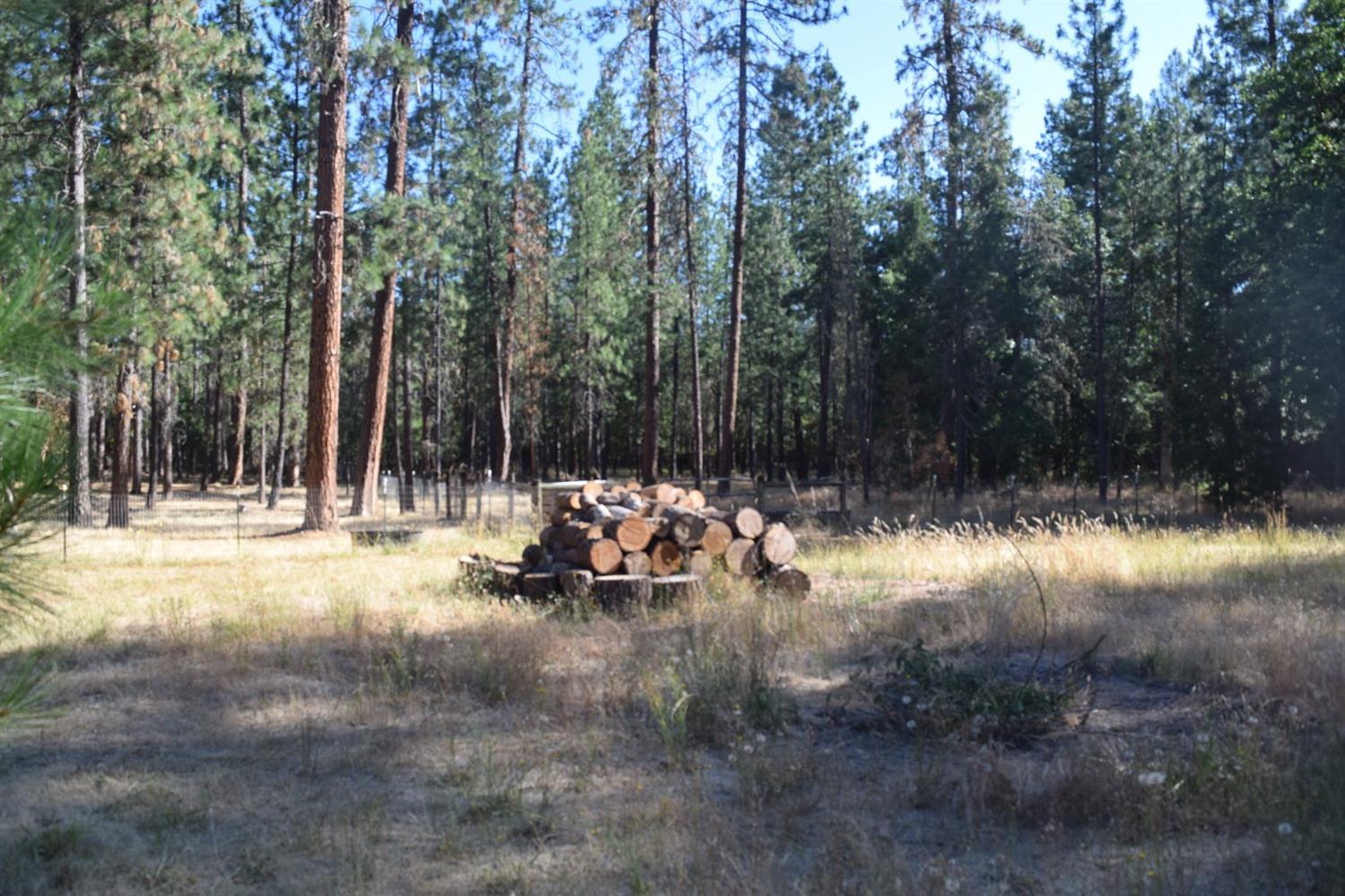 1076 Queens Branch Road Rogue River, OR 97537 - Photo 22 of 29 Additional Photo
