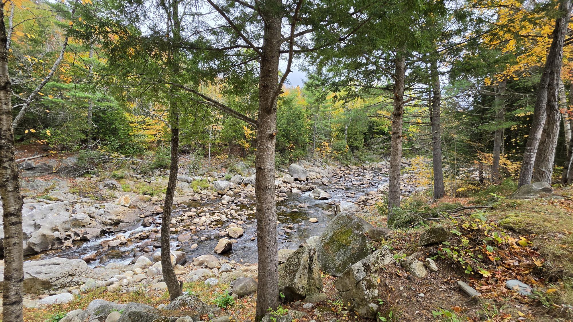 1588 Roxbury Road Roxbury, ME 04275 - Photo 1 of 23 1