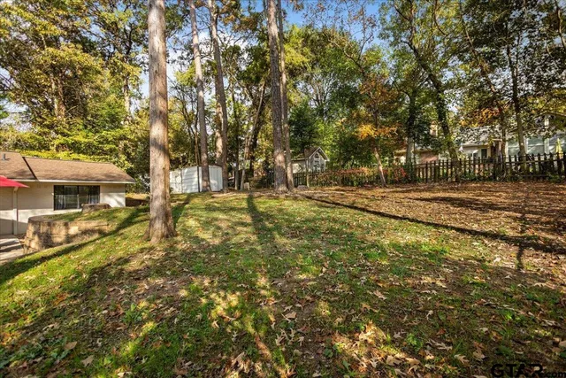 a view of dirt yard with a large tree