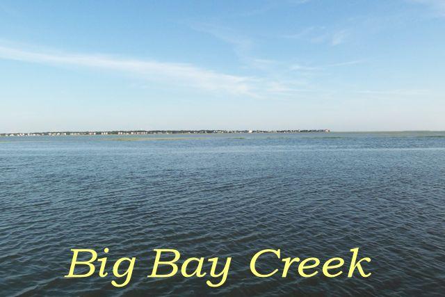 906 Jungle Road Edisto Beach, SC 29438 - Photo 12 of 31 big bay creek (2)