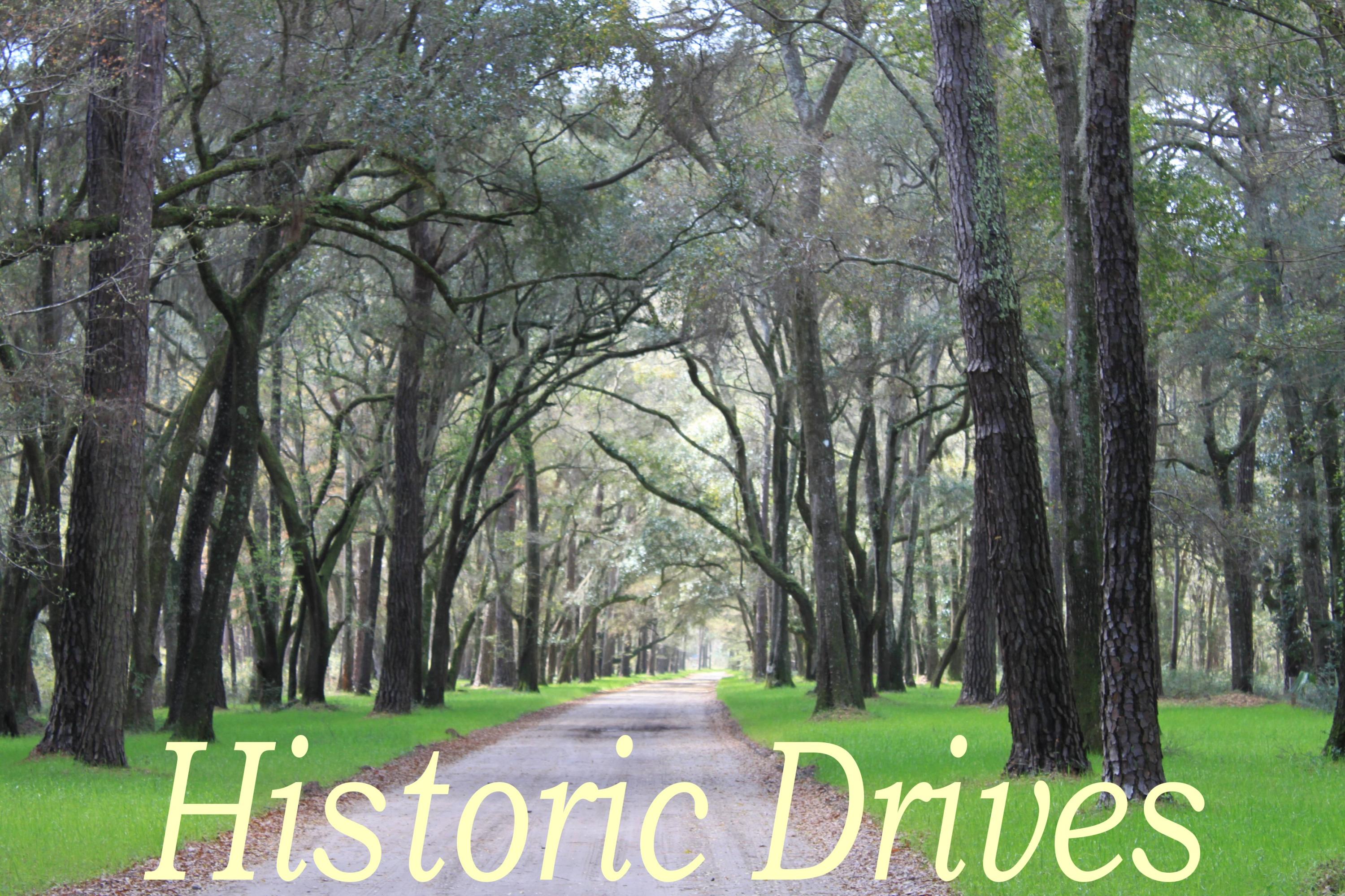 906 Jungle Road Edisto Beach, SC 29438 - Photo 18 of 31 historic drives