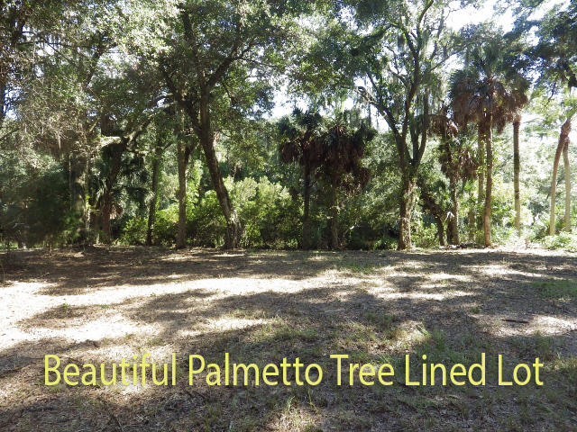 906 Jungle Road Edisto Beach, SC 29438 - Photo 3 of 31 lot 4