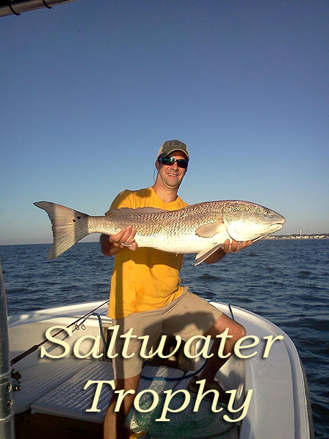 906 Jungle Road Edisto Beach, SC 29438 - Photo 24 of 31 saltwater trophy