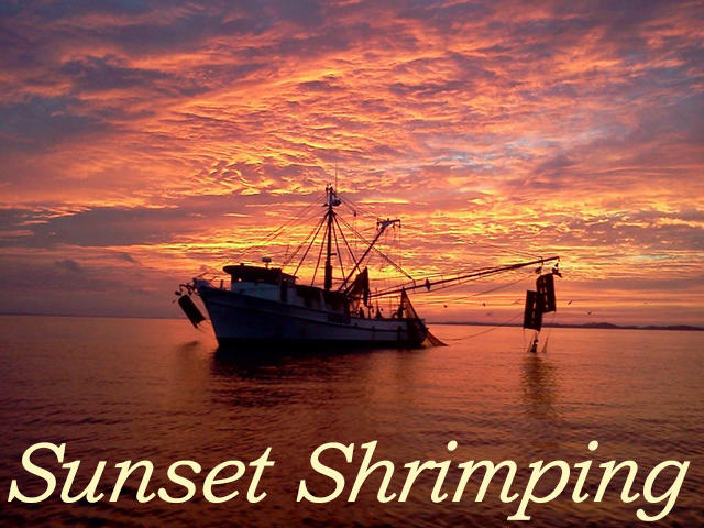 906 Jungle Road Edisto Beach, SC 29438 - Photo 27 of 31 sunset shrimping 2