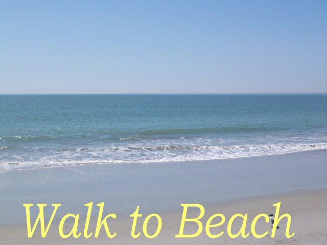 906 Jungle Road Edisto Beach, SC 29438 - Photo 4 of 31 000_0579