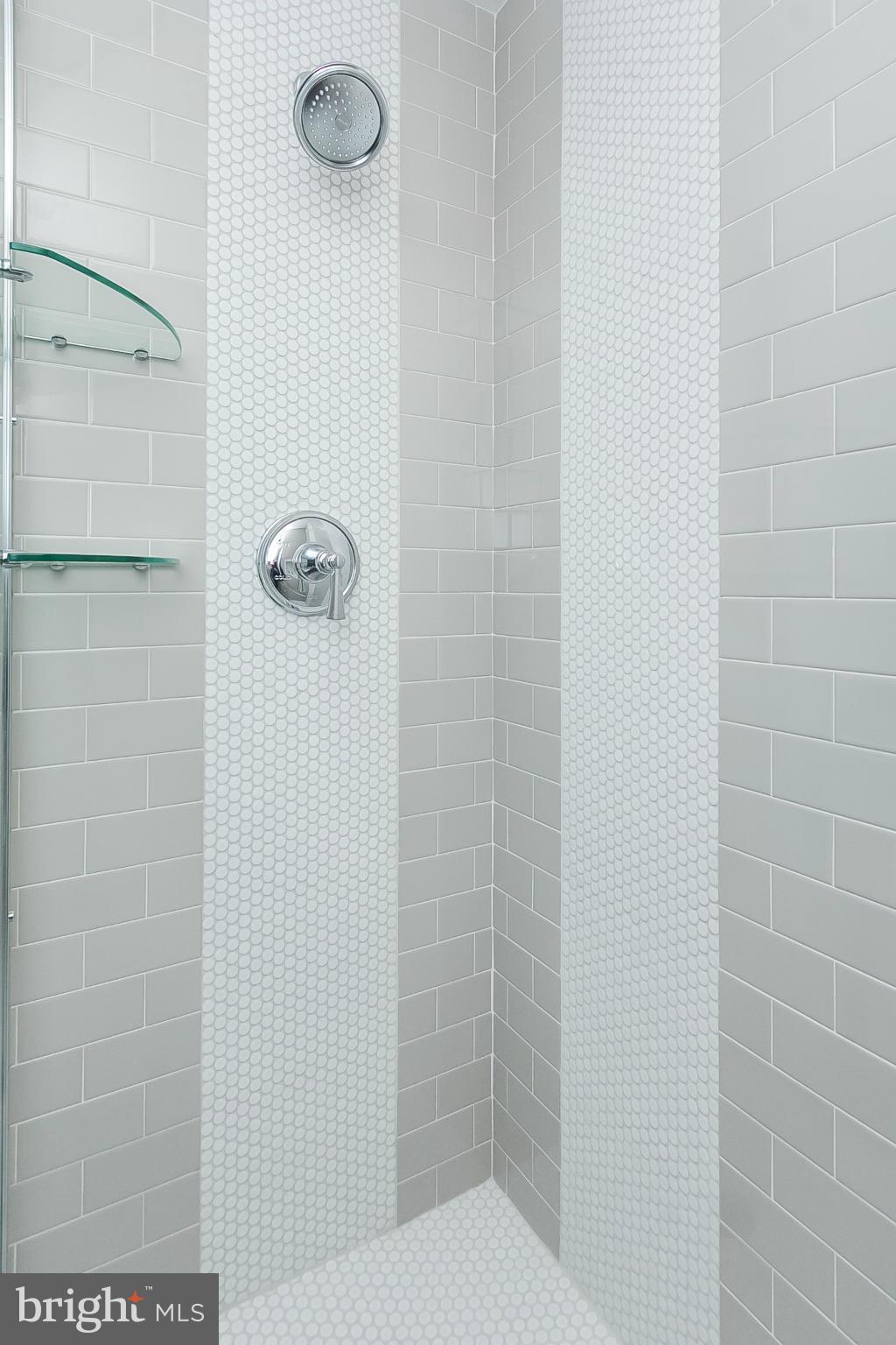 119 Cross Keys Road, Unit R119E Baltimore, MD 21210 - Photo 15 of 22 a bathroom with a shower