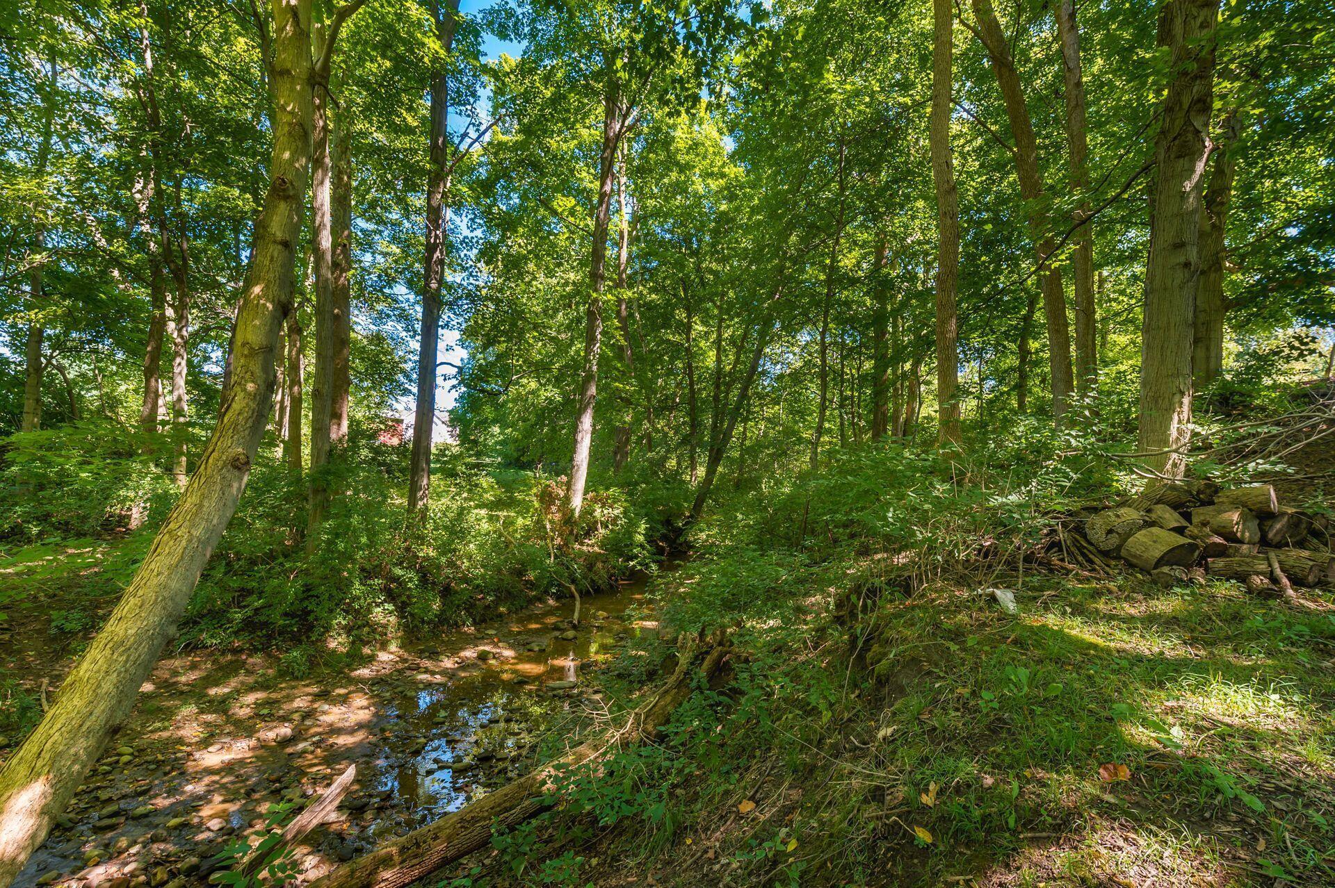 Stream where Sellers Camp out