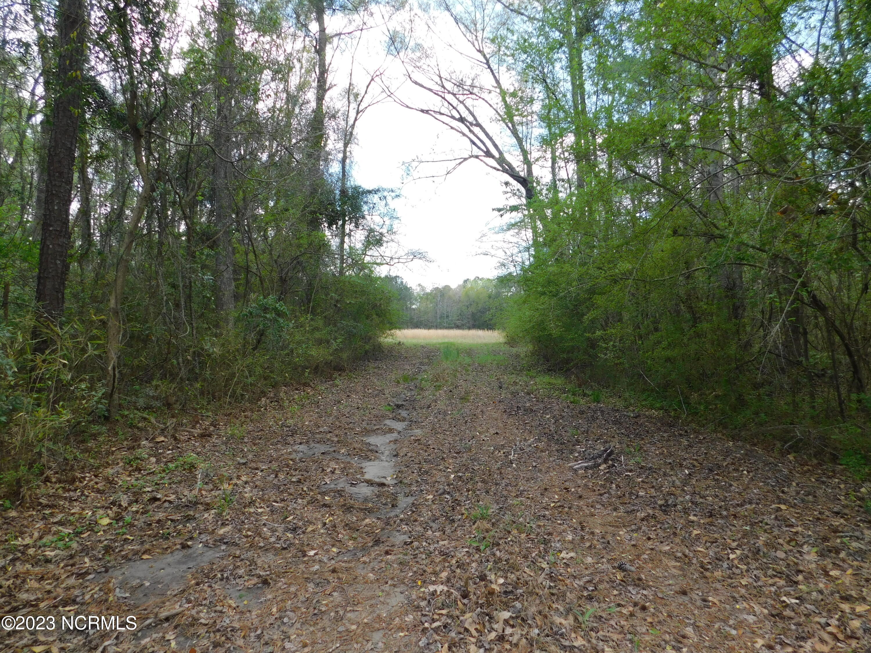 1326 Dothan Road Tabor City, NC 28463 - Photo 7 of 13 DSCN1583