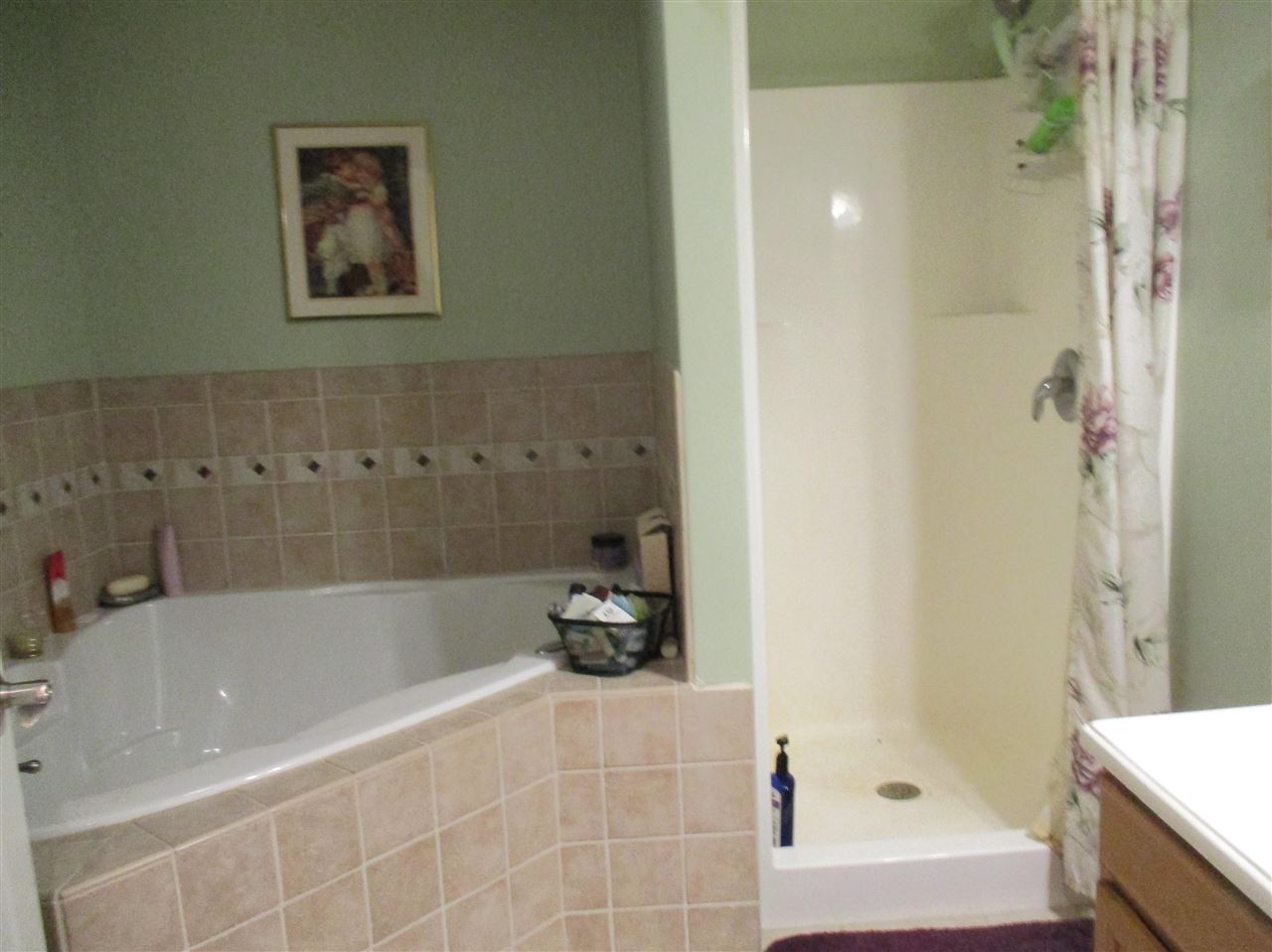 758 South Alger Road Ithaca, MI 48847 - Photo 31 of 44 1892982-31.JPG