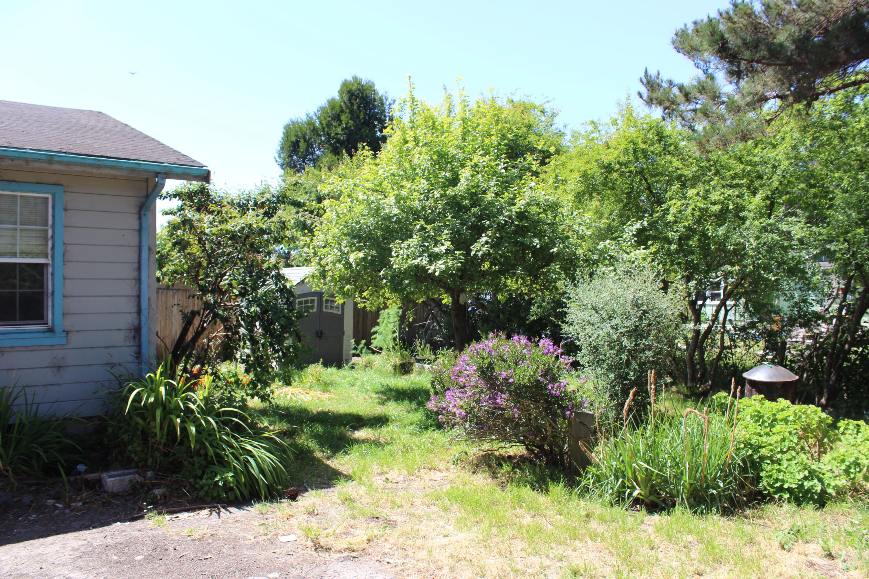 172 Ogle Avenue Rio Dell, CA 95562 - Photo 10 of 10