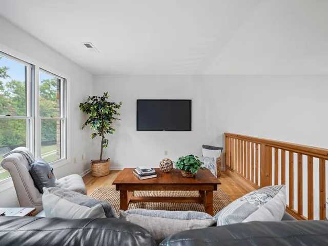 a living room with furniture and a potted plant