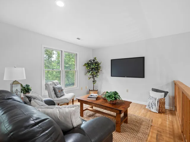 a living room with furniture and a potted plant