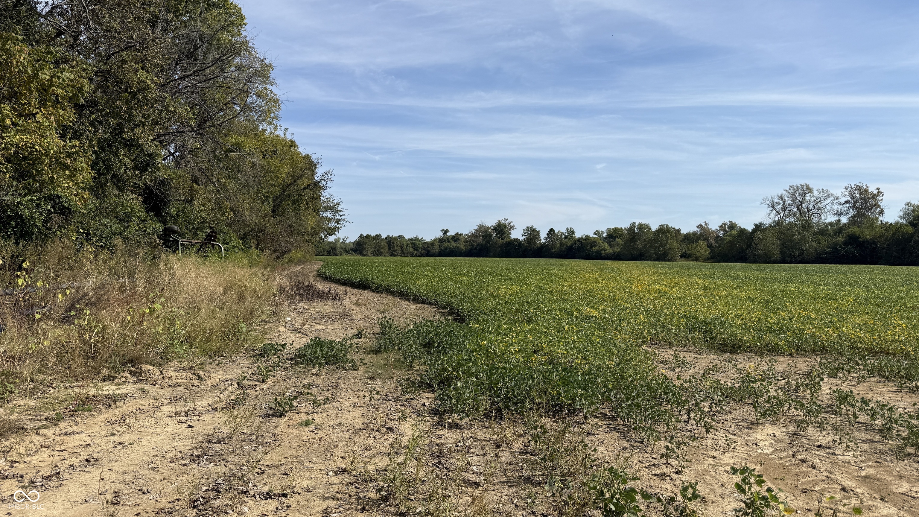 1 East 100th Road Worthington, IN 47471 - Photo 6 of 7