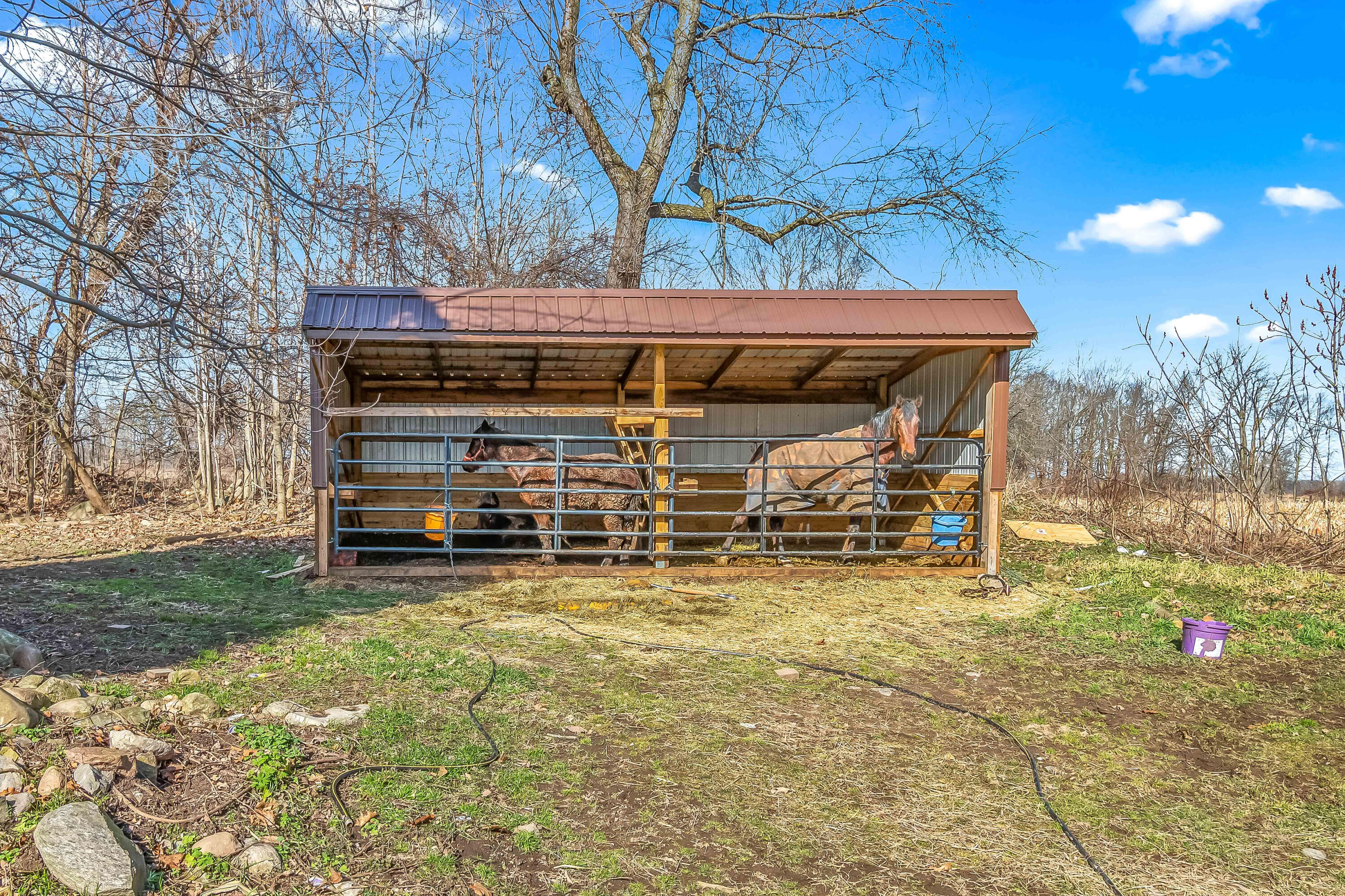 1209 Dean Road Tekonsha, MI 49092 - Photo 18 of 57 24