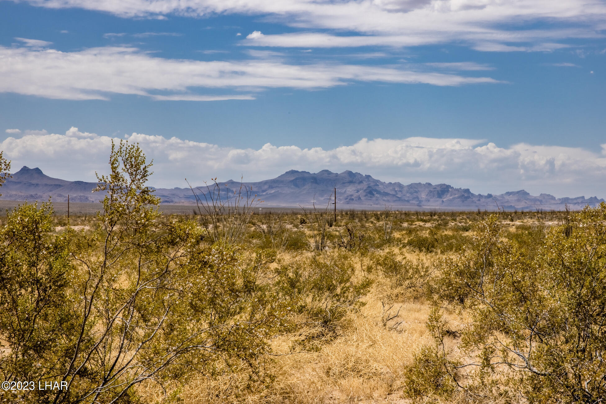 4203 West Wilshire Road Yucca, AZ 86438 - Photo 111 of 113 4203WilshireRd_078