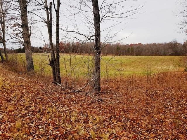 Little Creek Road Dillwyn, VA 23936 - Photo 11 of 11 Gallery Image 11