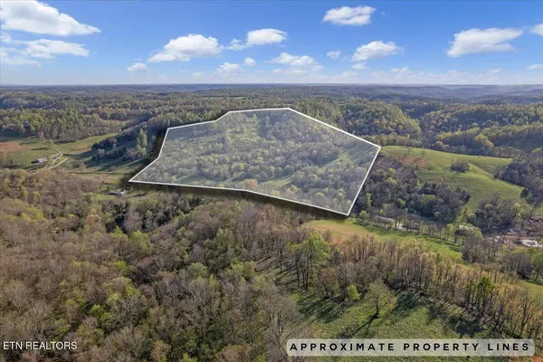 $100,000 | 1624 Bartlett Hollow Road, Petersburg, TN 37144