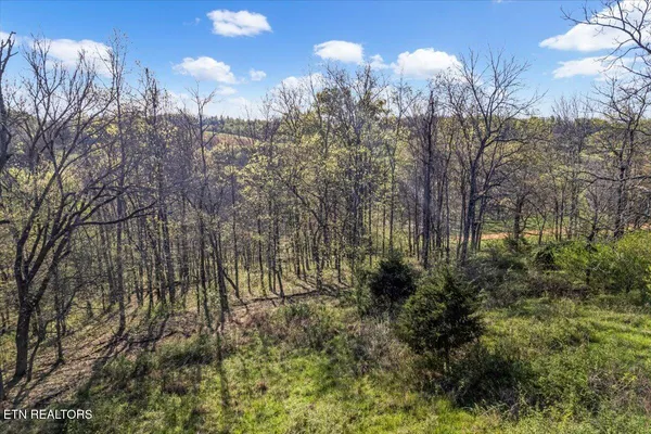 $100,000 | 1624 Bartlett Hollow Road, Petersburg, TN 37144
