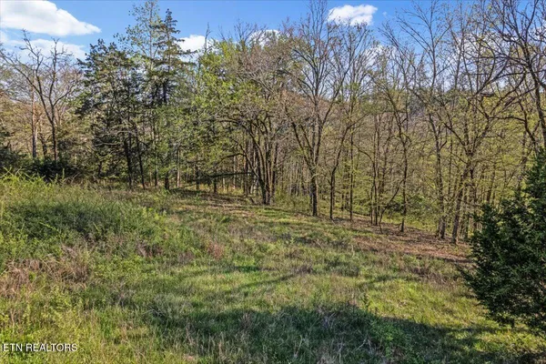 $100,000 | 1624 Bartlett Hollow Road, Petersburg, TN 37144