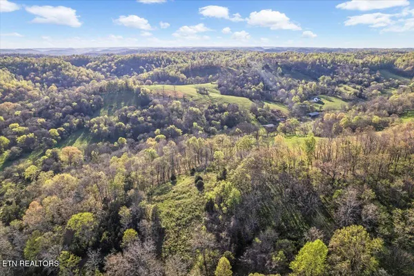 $100,000 | 1624 Bartlett Hollow Road, Petersburg, TN 37144