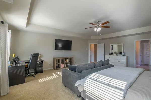 a living room with furniture a ceiling fan and a rug