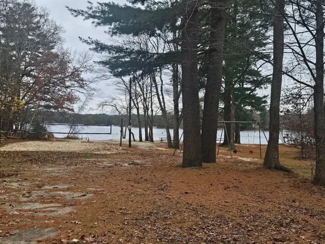 a view of a yard with a tree