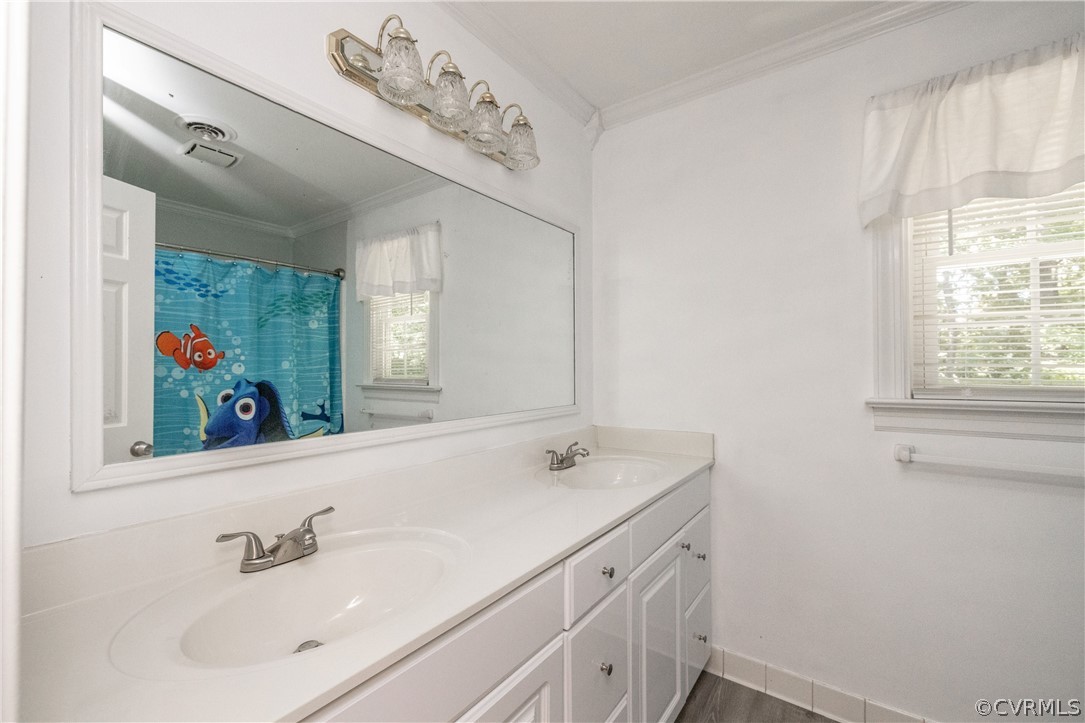 13907 Barnes Spring Road Midlothian, VA 23112 - Photo 33 of 43 a bathroom with a sink mirror and view of cabinet