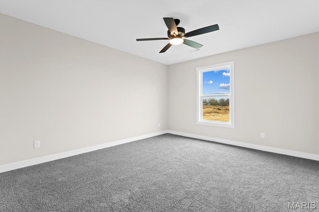 8000 Nolan Street O'Fallon, IL 62269 - Photo 39 of 60