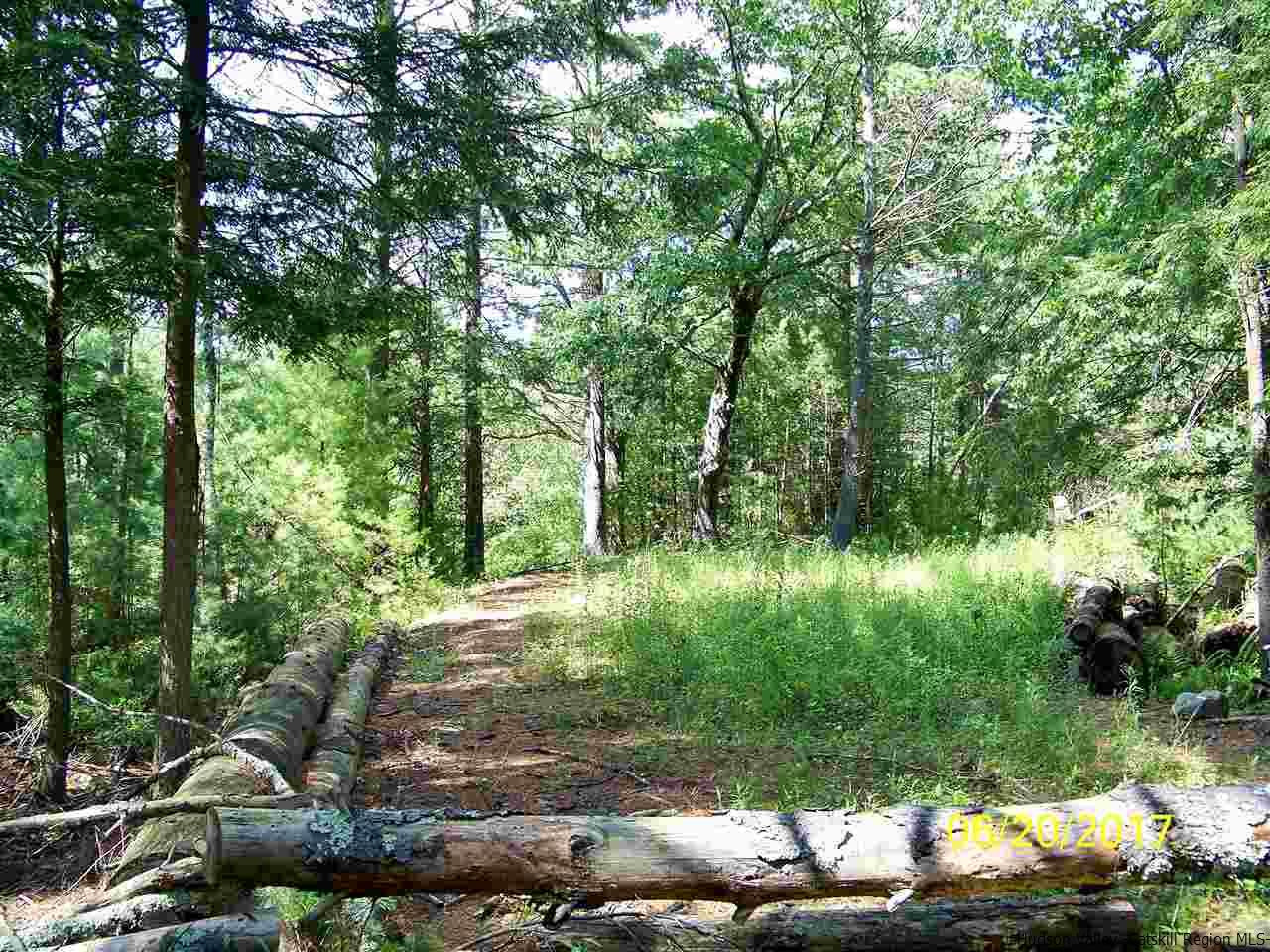 Tbd Mt Laurel Road Kerhonkson, NY 12446 - Photo 13 of 23 Photo 14