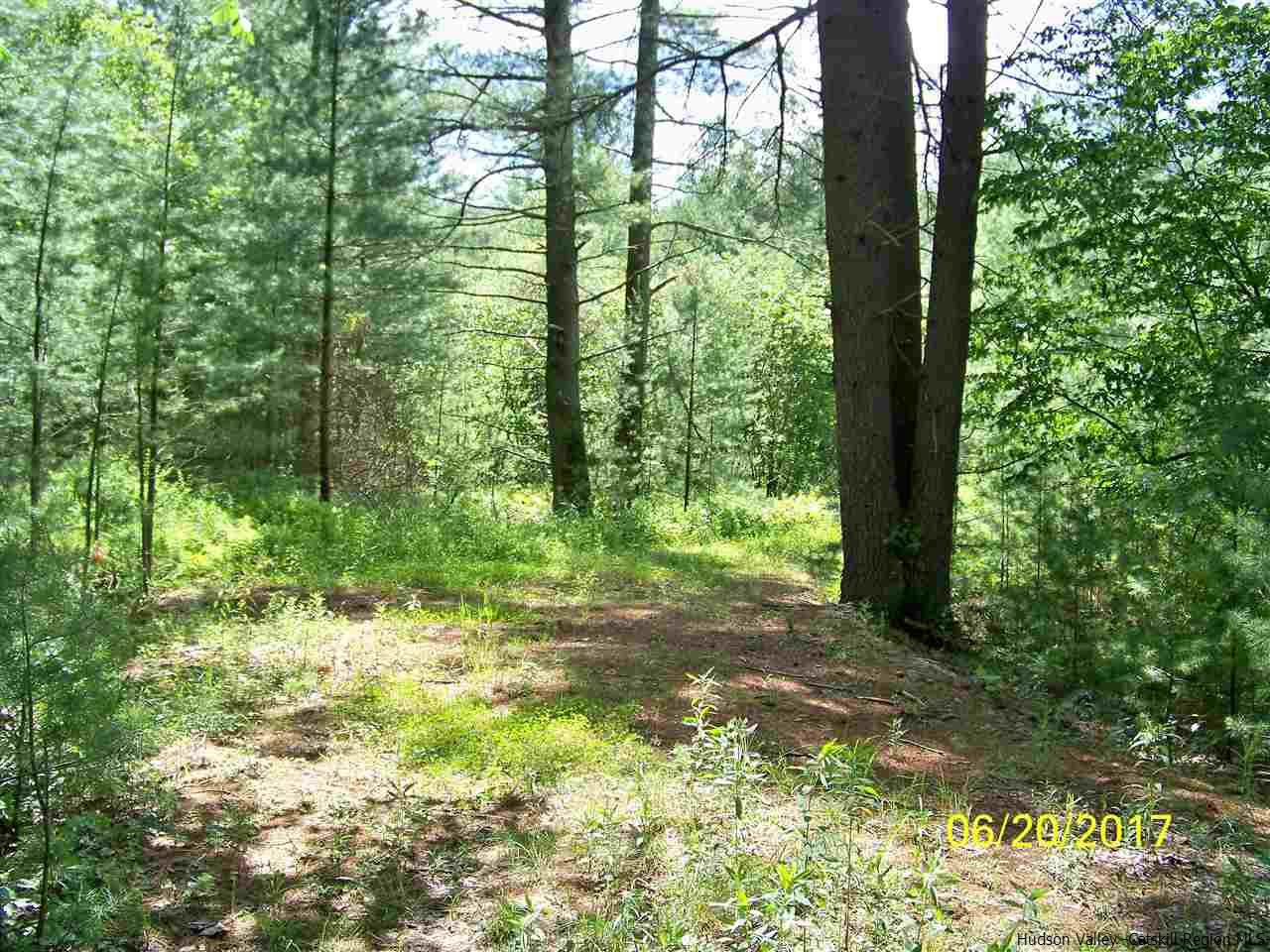 Tbd Mt Laurel Road Kerhonkson, NY 12446 - Photo 15 of 23 Photo 16