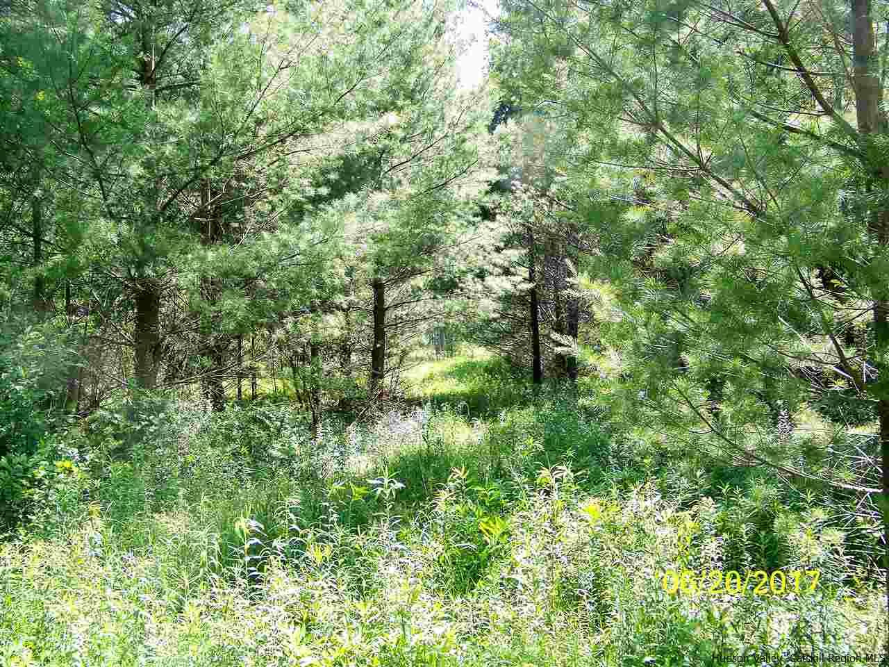 Tbd Mt Laurel Road Kerhonkson, NY 12446 - Photo 17 of 23 Photo 18