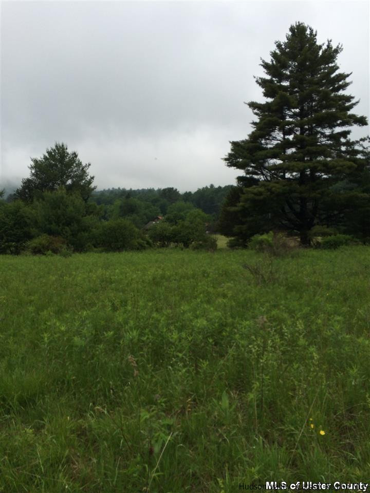Tbd Mt Laurel Road Kerhonkson, NY 12446 - Photo 4 of 23 Photo 5