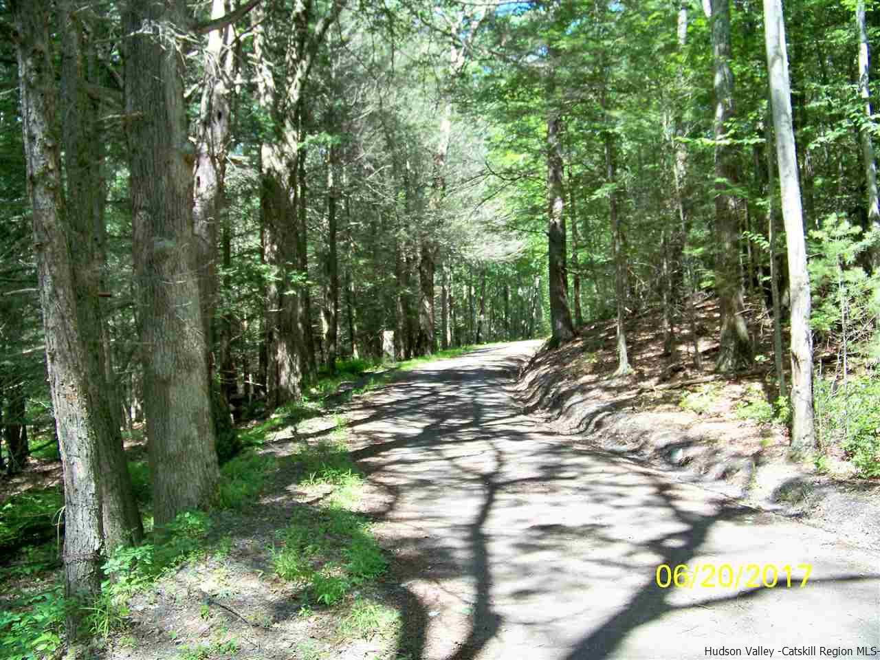 Tbd Mt Laurel Road Kerhonkson, NY 12446 - Photo 10 of 23 Photo 11