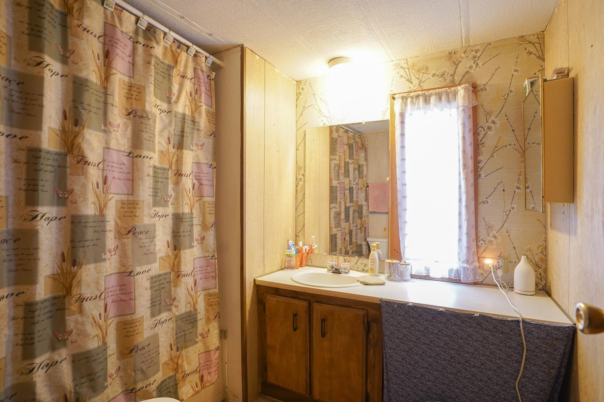8893 Sanders Road Vestaburg, MI 48891 - Photo 12 of 21 DSC01824