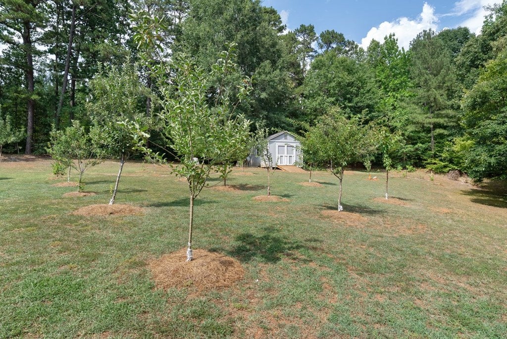 486 Marina Road Bracey, VA 23919 - Photo 53 of 71 Gallery Image 53