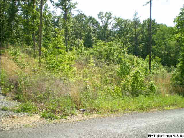654 Smith Ridge Way Odenville, AL 35120 - Photo 31 of 31