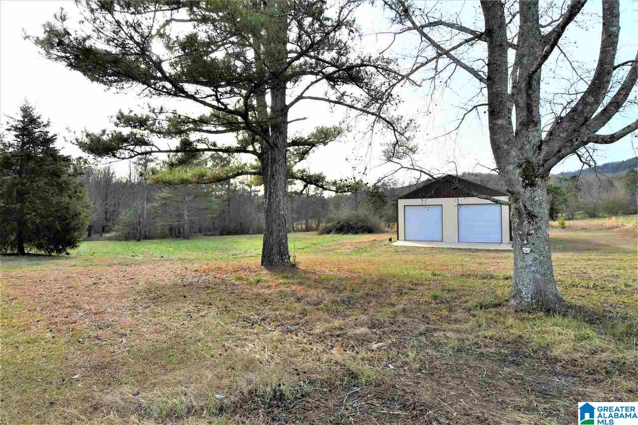 5535 Old Gallant Road Gallant, AL 35972 - Photo 38 of 50