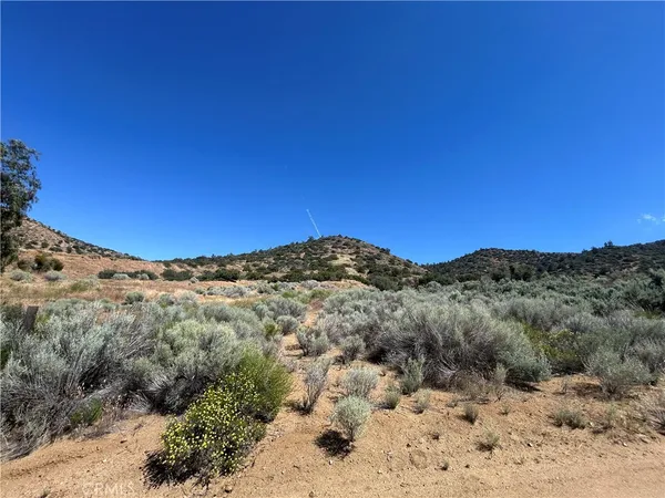 a view of a large mountain range with trees in the background