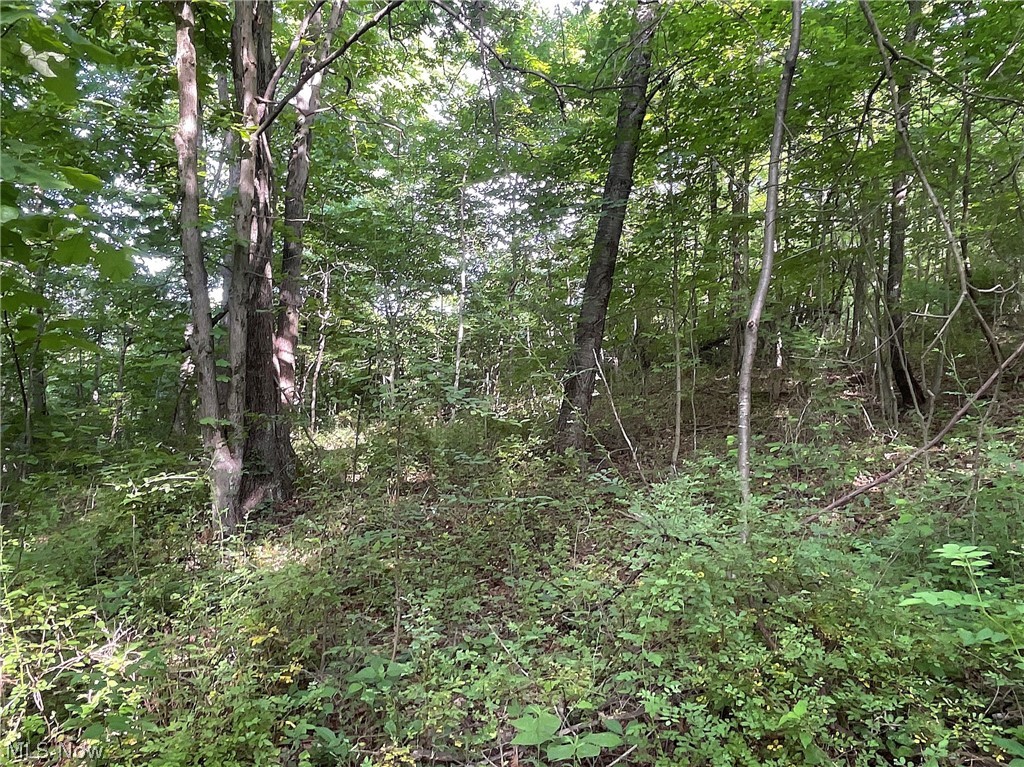 35173 Merrill Ridge Road Graysville, OH 45734 - Photo 13 of 23 View of mother earth's splendor