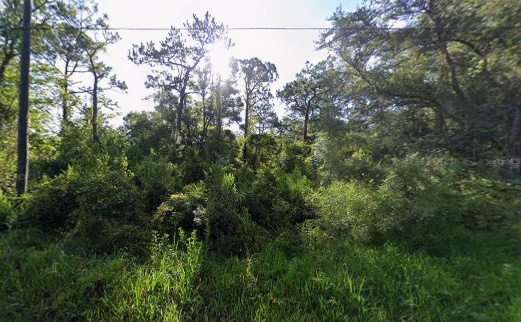 Atlee Street New Port Richey, FL 34654 - Photo 1 of 3