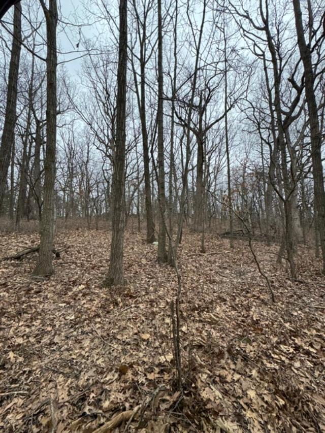 83 Highway 83, Unit LT 2 Delafield, WI 53018 - Photo 11 of 15 thumbnail (4)