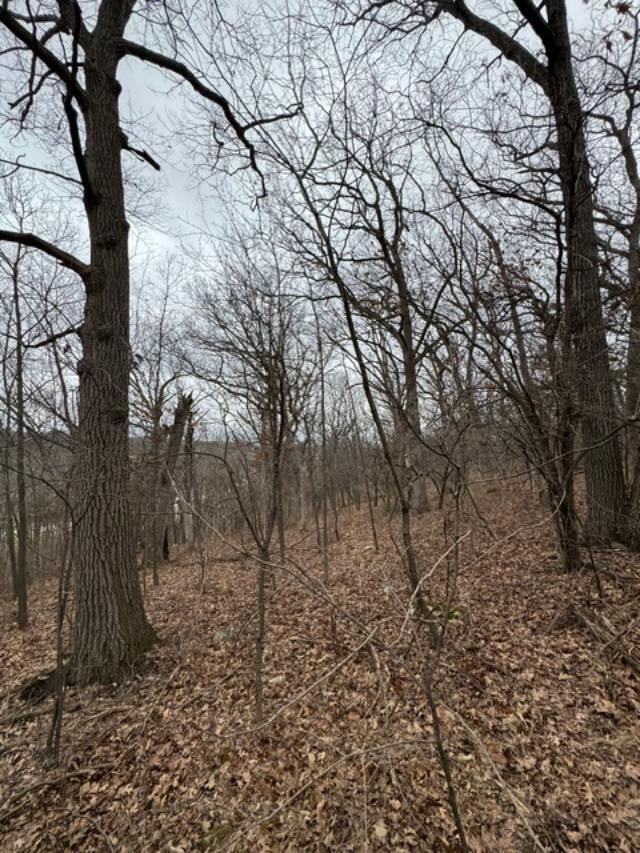 83 Highway 83, Unit LT 2 Delafield, WI 53018 - Photo 13 of 15 thumbnail (2)