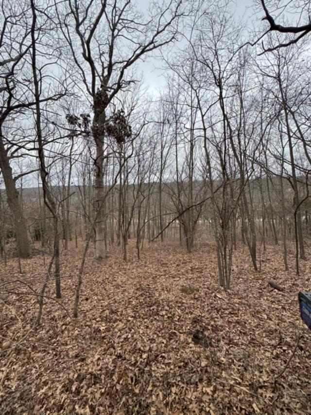 83 Highway 83, Unit LT 2 Delafield, WI 53018 - Photo 14 of 15 thumbnail (1)