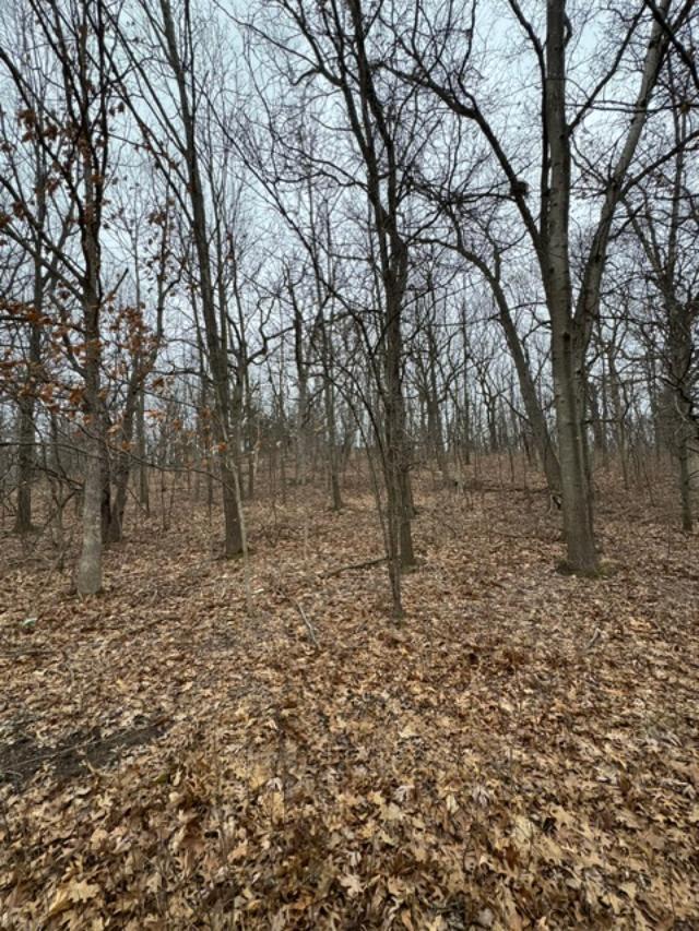 83 Highway 83, Unit LT 2 Delafield, WI 53018 - Photo 8 of 15 thumbnail (7)