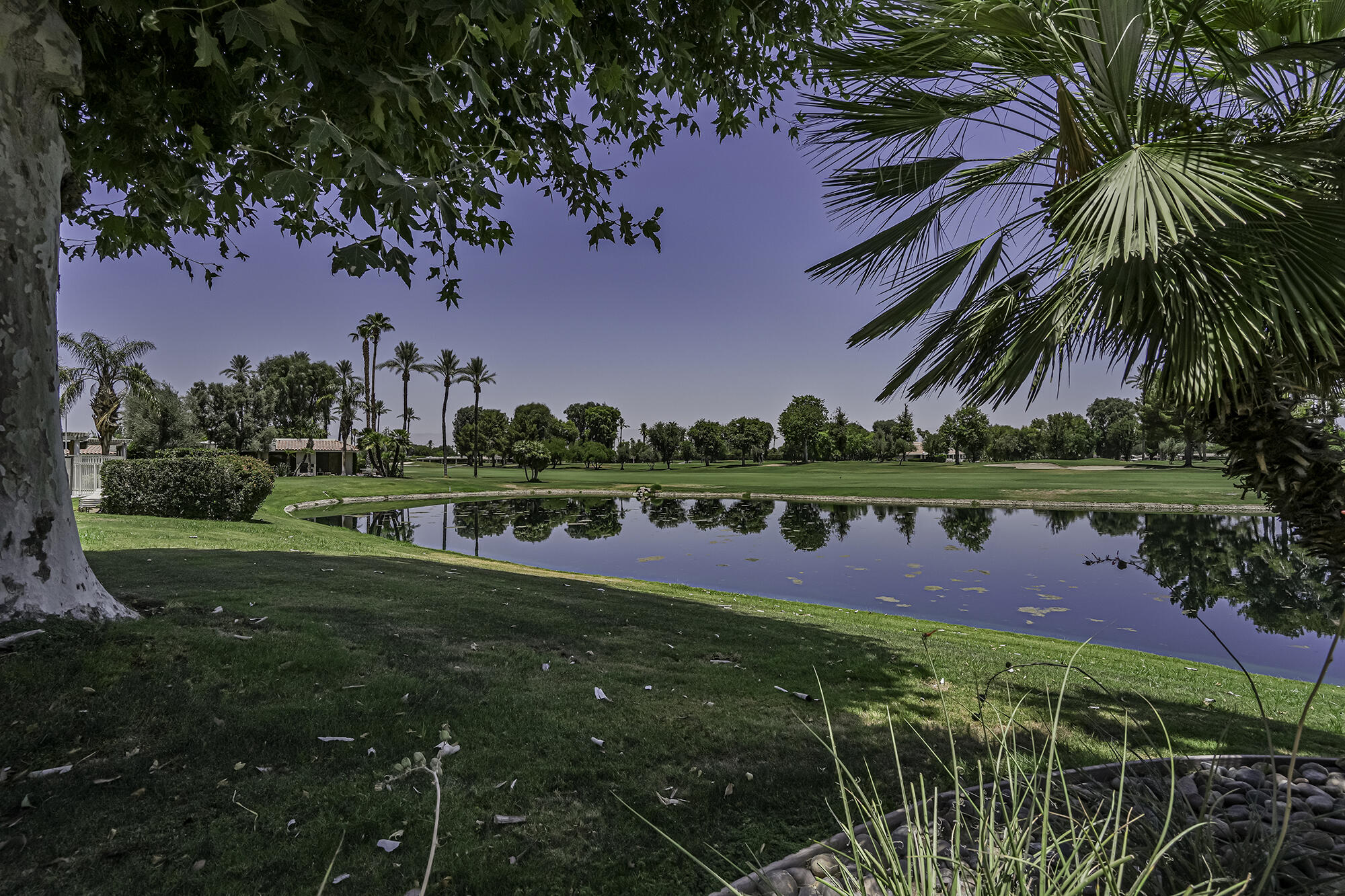 4 Stephens Court Rancho Mirage, CA 92270 - Photo 37 of 50 a view of a yard with a house in the background