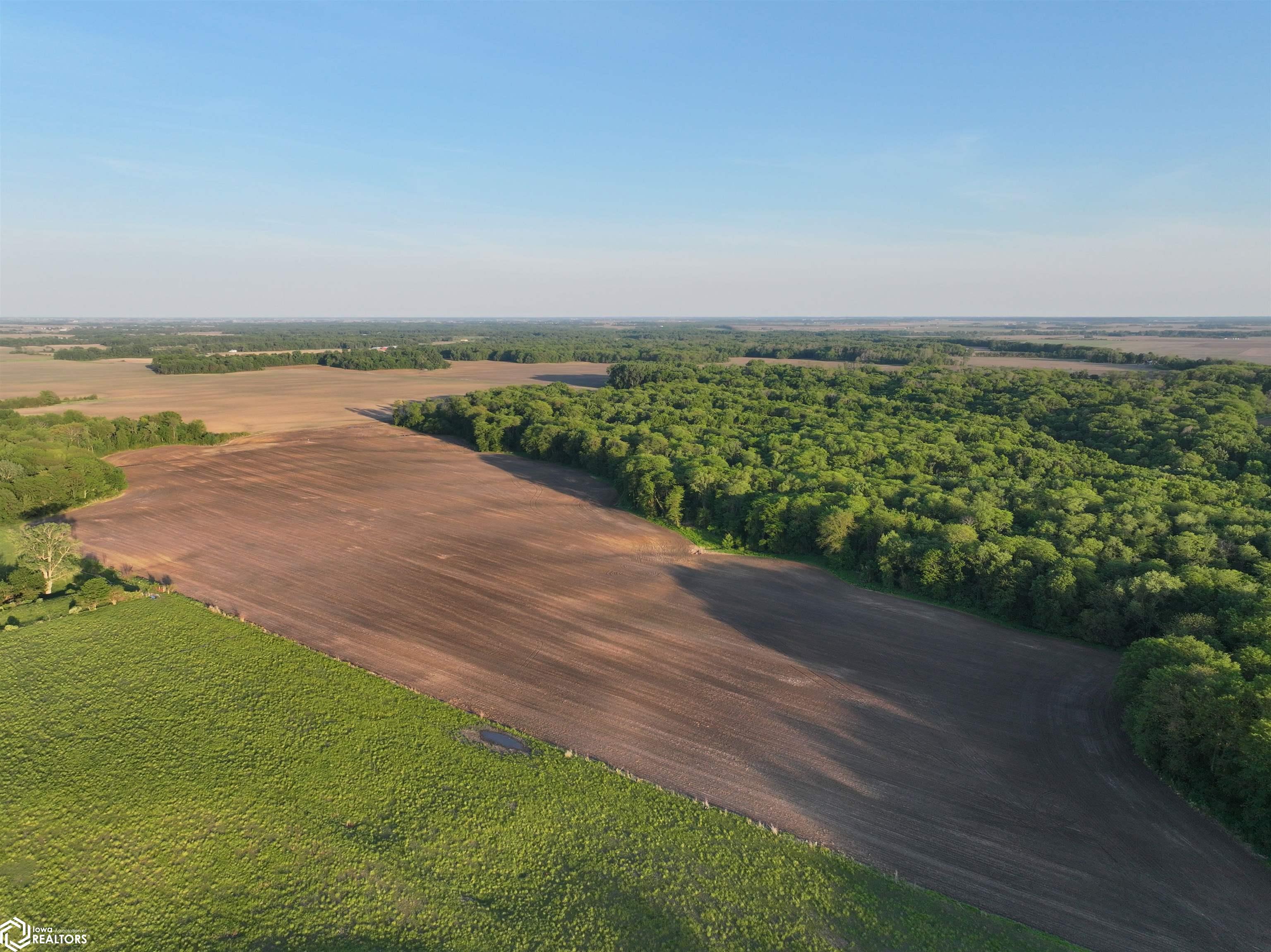 Bluff Road Joy, IL 61260 - Photo 17 of 27 Gallery Image 17